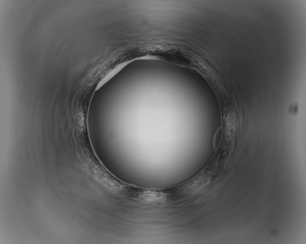 X0000112060617200908041216