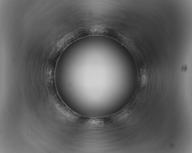 X0000112060619200908041216