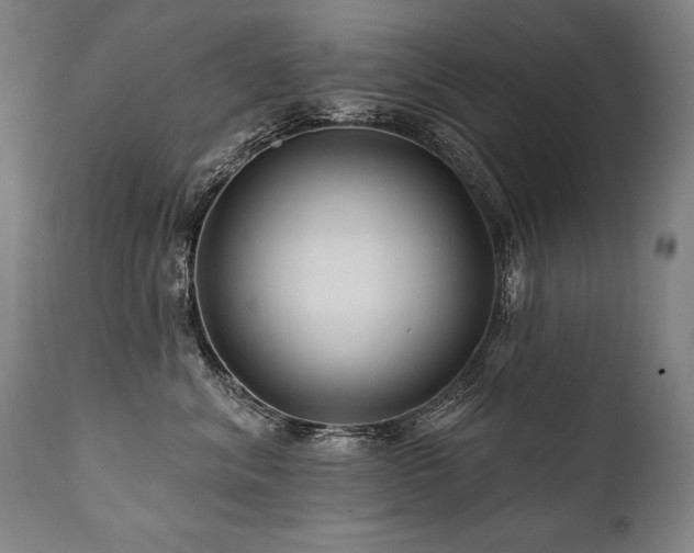 X0000112060620200908041216