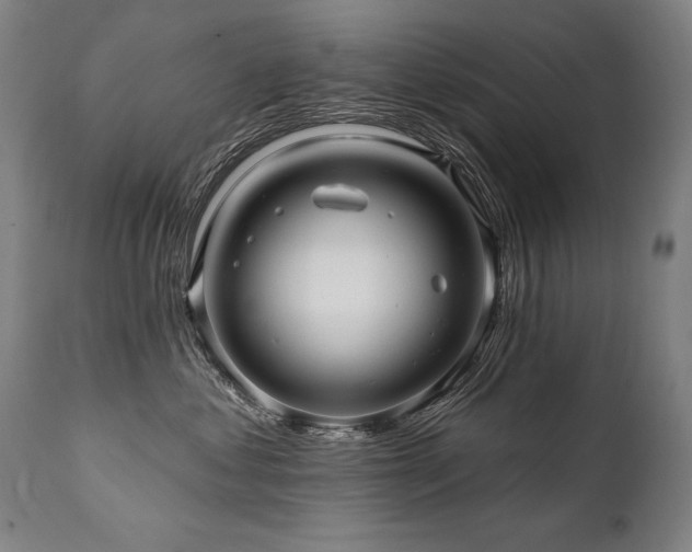 X0000112060621200908041216