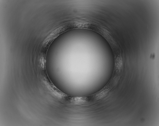 X0000112060622200908041216