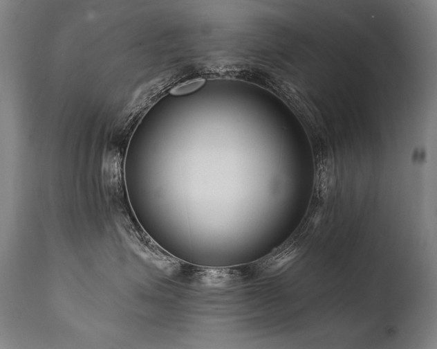 X0000112060623200908041216