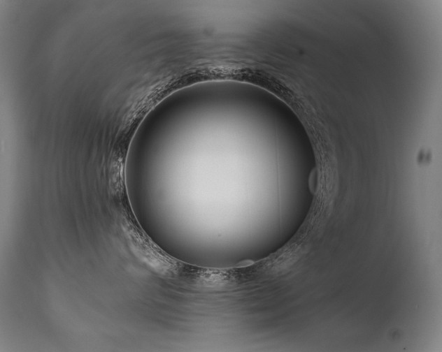 X0000112060624200908041216