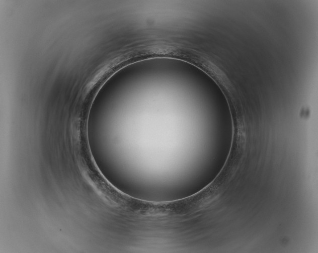 X0000112060626200908041215