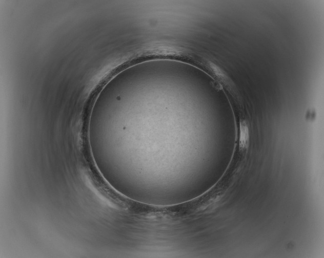 X0000112060627200908041215