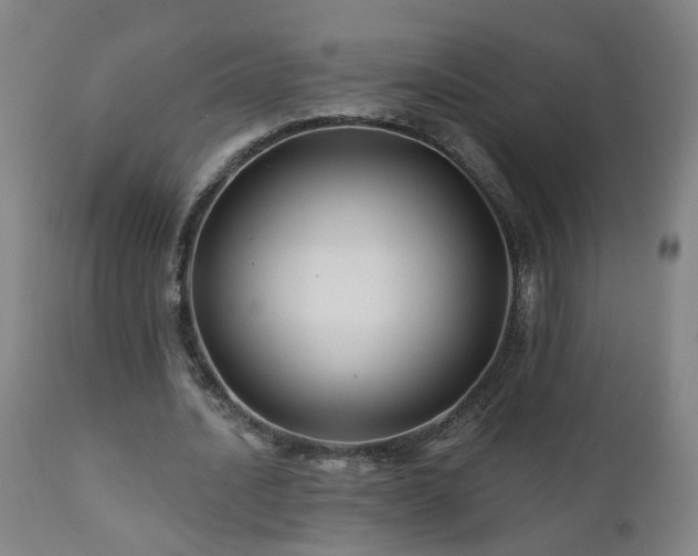 X0000112060628200908041215