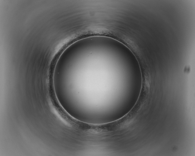 X0000112060630200908041215