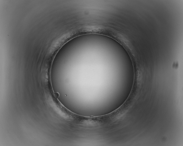 X0000112060633200908041215