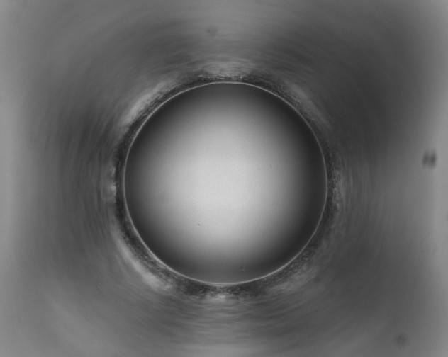 X0000112060634200908041215