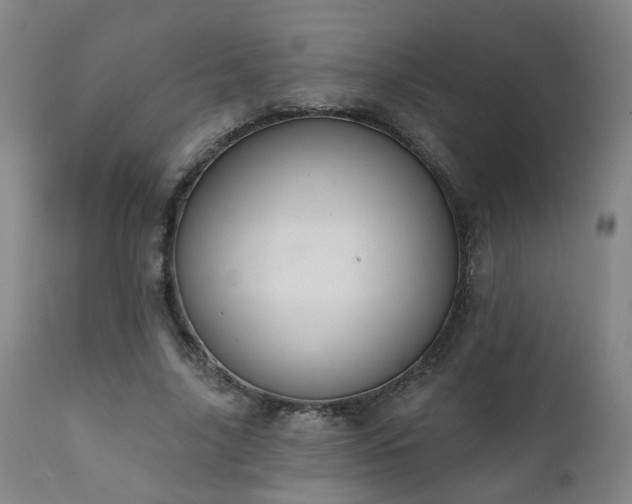 X0000112060635200908041215