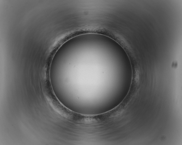 X0000112060636200908041215