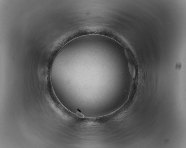 X0000112060637200908041215