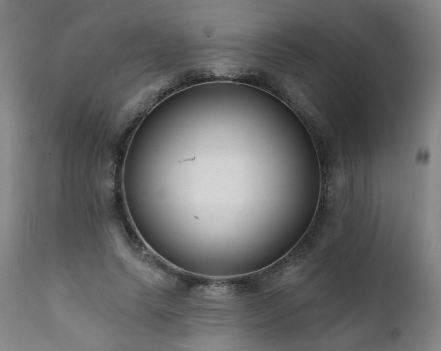 X0000112060639200908041215