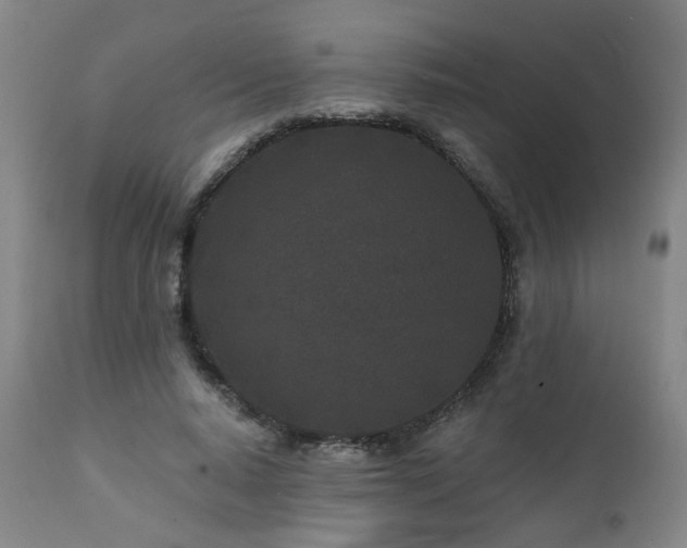 X0000112060640200908041215