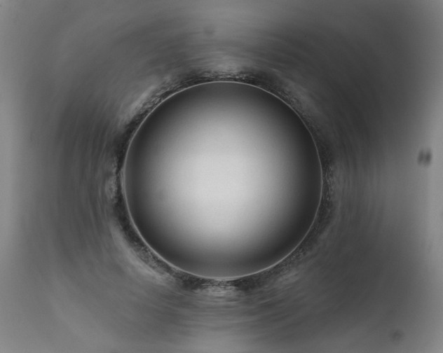 X0000112060642200908041215