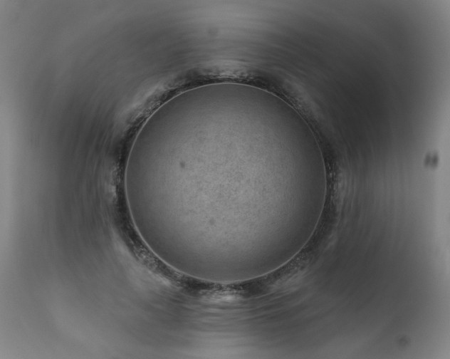 X0000112060643200908041215