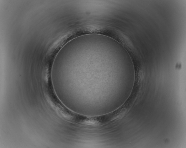 X0000112060644200908041215