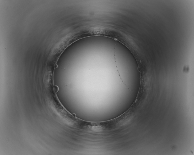 X0000112060645200908041215