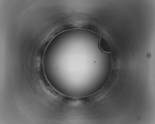 X0000112060646200908041215