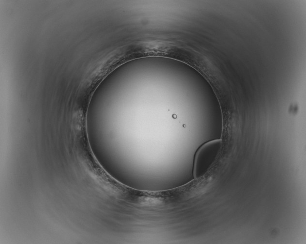 X0000112060649200908041215