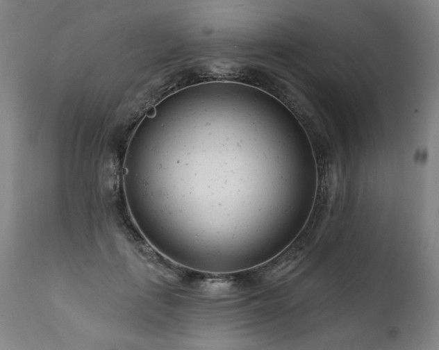 X0000112060651200908041216