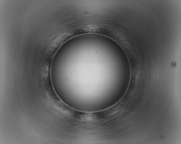 X0000112060652200908041216