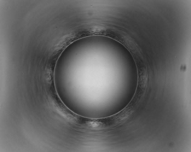 X0000112060654200908041216
