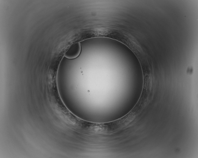 X0000112060655200908041216