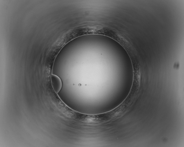 X0000112060657200908041216