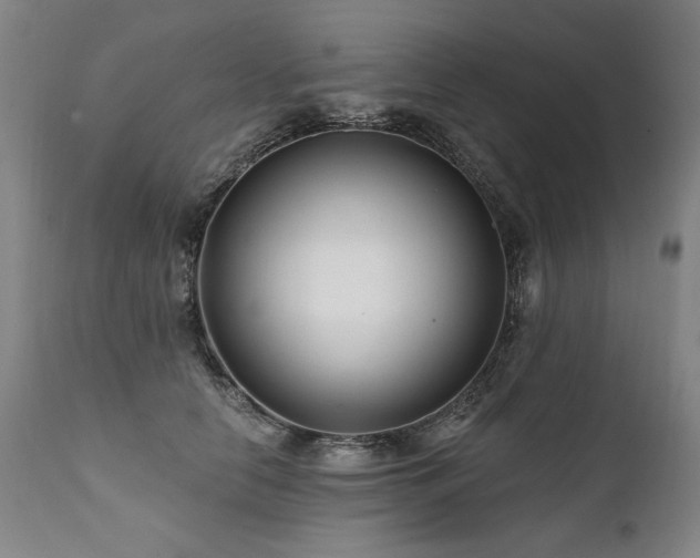 X0000112060658200908041216