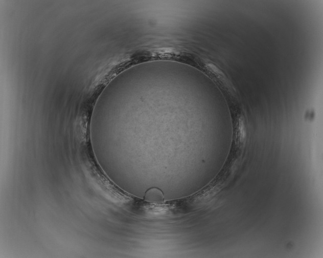 X0000112060661200908041216