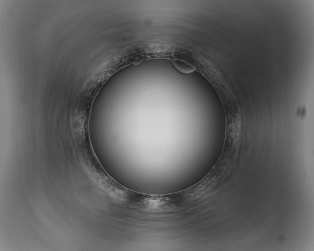 X0000112060662200908041216