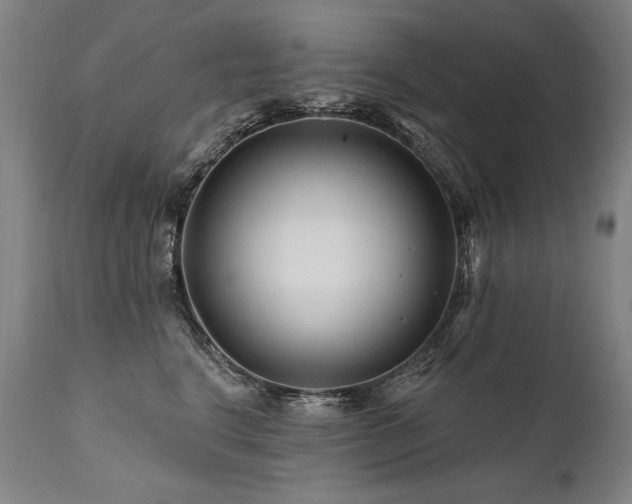 X0000112060664200908041216