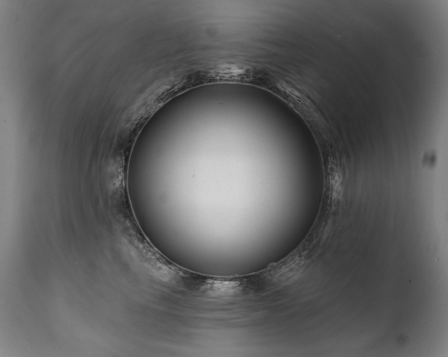 X0000112060665200908041216