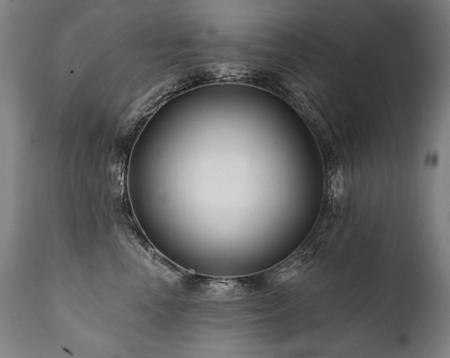 X0000112060666200908041216