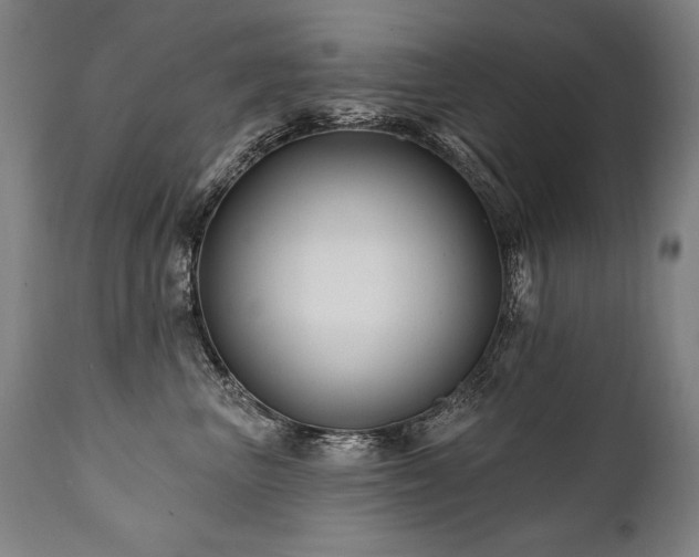 X0000112060667200908041216