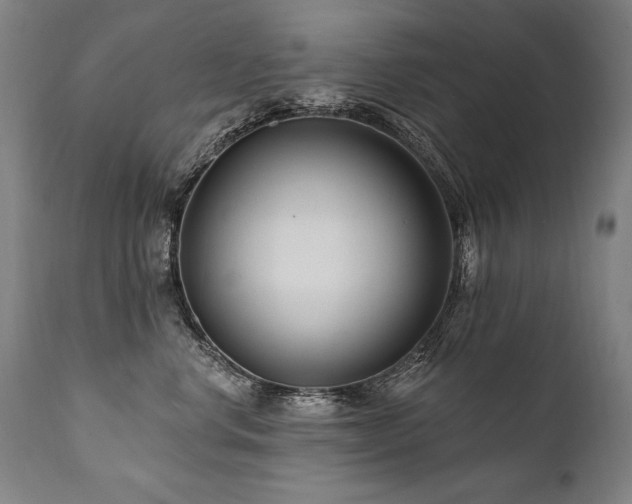 X0000112060668200908041216