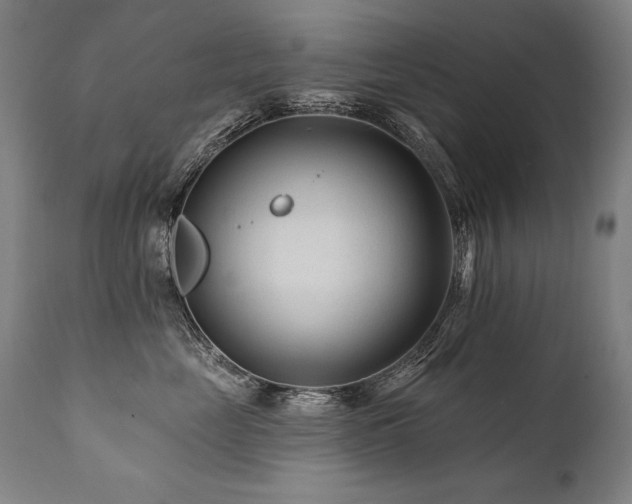 X0000112060669200908041216
