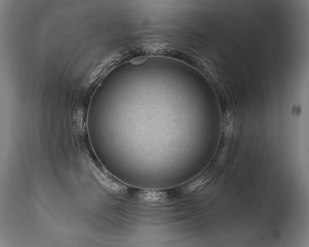 X0000112060670200908041216