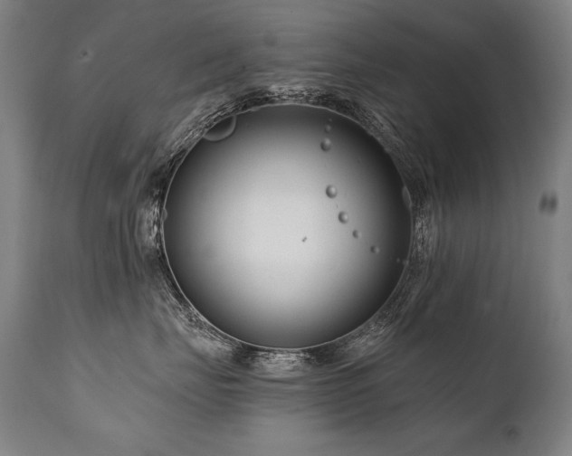 X0000112060671200908041216