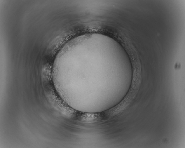 X0000112060672200908041216