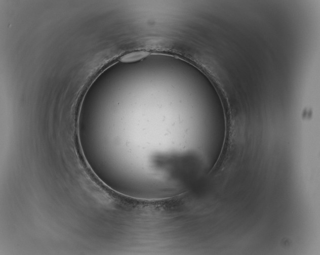X0000112060673200908041215