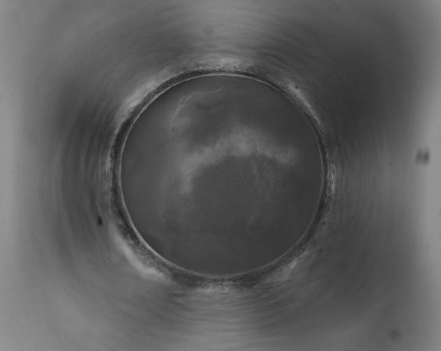 X0000112060674200908041215