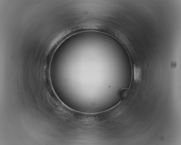 X0000112060675200908041215