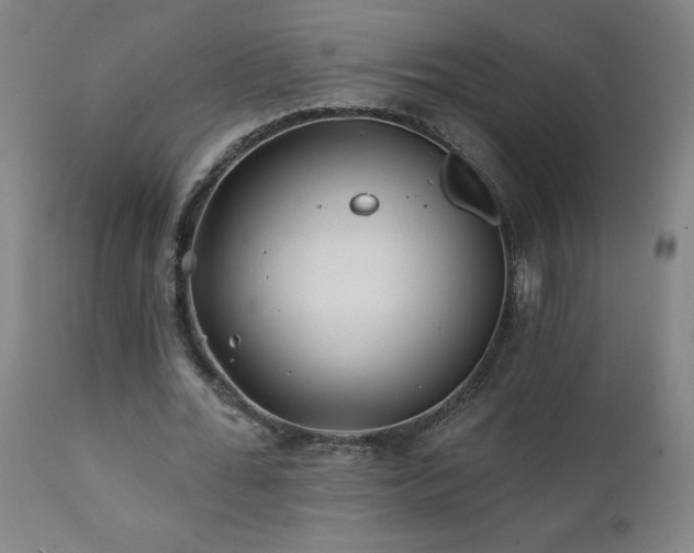 X0000112060676200908041215