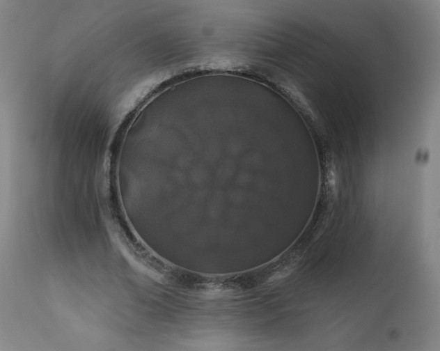 X0000112060678200908041215