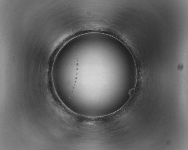 X0000112060679200908041215