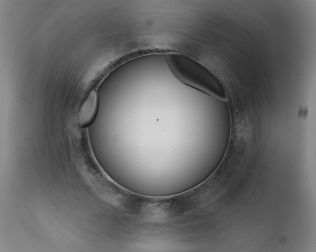 X0000112060680200908041215