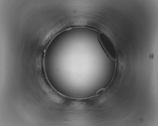X0000112060681200908041215