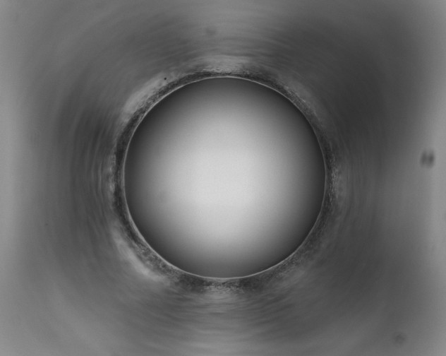 X0000112060682200908041215